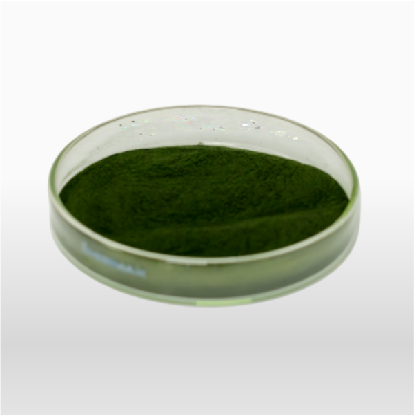 Spirulina - Polvo 100% Puro - Imagen 2