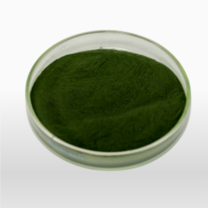 Spirulina - Polvo 100% Puro