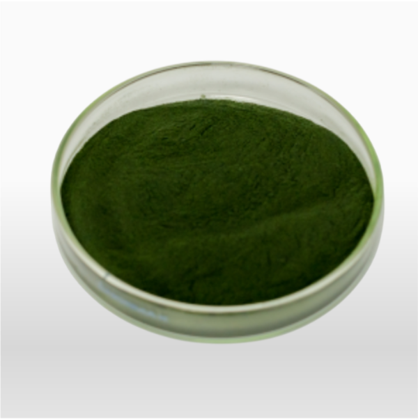 Spirulina - Polvo 100% Puro