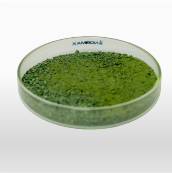Chlorella -Polvo 100% Puro - Imagen 2