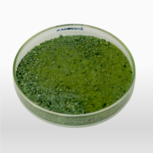 Chlorella -Polvo 100% Puro