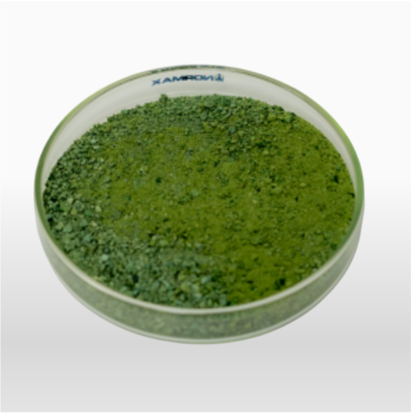 Chlorella -Polvo 100% Puro